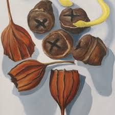 Shop art by Kathryn Sherer