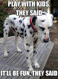 Funny Baby Animals 15 Soothing Pictures You Won T Resist In 2020 Animal Humour Cute Funny Animals Animal Jokes