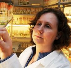 Directory of Expertise