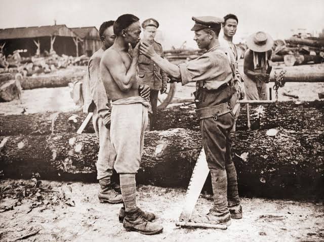 The ugly truth behind the First World War's Chinese labourers | The Independent | The Independent