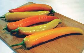 I am a vegan gardener with loads of pepper plants and get almost all of my seeds from tyler farms each year. Pepper Hot Sunset 85 Days T T Seeds