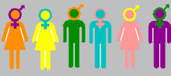 Gender Typing Biological Views Of Genetics Hormones Study Com