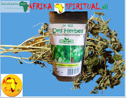 Santé et bien être médecine LE ROI DES HERBES Dakar - Banabaana