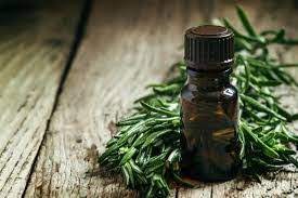 How To Use Tea Tree Oil For Nasal Polyps Tea Tree Oil Essential Oils Rosemary Tree Oil