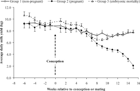 Well, scientists do not really have an answer yet, but it is believed that the cold temperatures of the yes, imagine having to walk around with a camel in your belly for 14 straight months! Effect Of Pregnancy And Embryonic Mortality On Milk Production In Dromedary Camels Camelus Dromedarius Sciencedirect