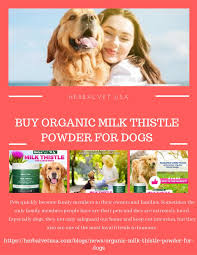 My vet explained the the liver, kidneys and pancreas work closely together. Buy Organic Milk Thistle Powder For Dogs