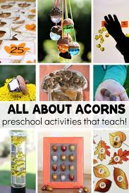 A feather, small stone, acorn, maple leaf, oak leaf, various. 89 Acorn Theme Ideas Acorn Autumn Activities Crafts For Kids