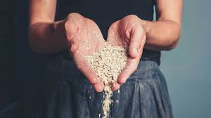 Rich in healthy carbs and fibre, oats make a perfect breakfast for weight watchers. Oatmeal Diet Weight Loss Plan