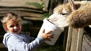 A petting zoo birthday party can be more than just fun, furry animals. The Best Petting Zoos For Kids Birthday Parties Ellaslist