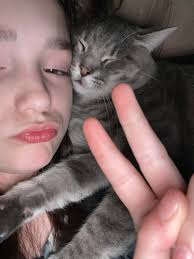 Missing around Ranch Rd S area for 3 days very sweet her name is Cam