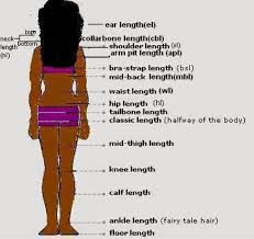 Check out the ideas at the creative natural curly hairstyles are effortless and expressive enough to bring out the unique. A Guide To Making Realistic Hair Growth Goals Zedhair