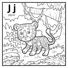 Jump to navigation jump to search. Coloring Book For Children Colorless Alphabet Letter J Jaguar Royalty Free Cliparts Vectors And Stock Illustration Image 77390951