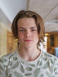 Viken är den viktigaste frågan i Falun?