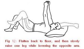 Pin On Health Exercises Back