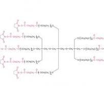 8-arm Poly(ethylene Glycol) Succinimidyl Succinate(TP) [8 ...