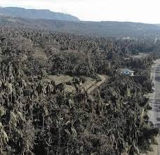 Maybe you would like to learn more about one of these? Taal Volcano Eruption 2020 Home Facebook