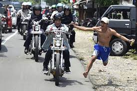 Menakjubkan makhluk ini bisa hidup kembali setelah membeku selama 24 ribu tahun. Selamat Ulang Tahun Ke 57 Pak Jokowi