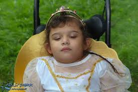 Contributions to the tribute of Saya Lee Vanne