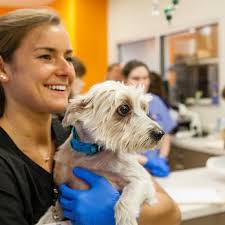 BLUEPEARL PET HOSPITAL