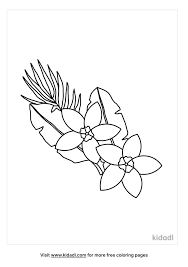 The blue color symbolizes loyalty, strength, wisdom and trust. Tropical Flowers Coloring Pages Free Flowers Coloring Pages Kidadl