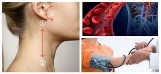 Yuksek Tansiyonu 5 Dakikada Dusurmek Sagliga Bir Adim