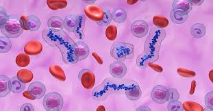 Image result for Anticoagulation
