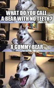 Random Funny Pictures Of The Week Dog Puns Funny Animal Jokes Bad Pun Dog