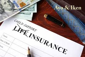 Life Insurance Securing Child Support In Florida