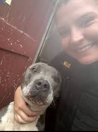 Happy national dog day! Share with me your favorite picture of your dog I  want to see all of them! Here are my babies ❤️❤️❤️❤️