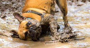 Check spelling or type a new query. Wxnratebpuo86m