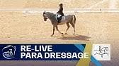 Hun har blitt tildelt porsgrunds porselænsfabriks ærespris, i regi av norges idrettsforbund, som beste norske kvinnelige. Ann Cathrin Lubbe Oslo Horse Show Youtube