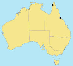 Image result for Eragrostis humidicola