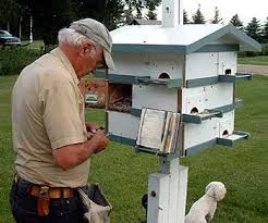 Find free plans, informative guides and links for purple martin housing, traps, predators guards and more. Northern Sky S Purple Martin Colony