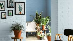 Au même titre que le gris anthracite ou le taupe, le bleu canard fait partie des tendances actuelles en décoration d'intérieur. Peinture Bleu 12 Couleurs Bleutees Pour Repeindre Son Interieur Cote Maison