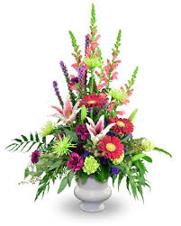 Frank Bunch Obituary June 29, 2024