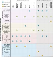 Clinical Potential of Adrenomedullin Signaling in the Cardiovascular System  | Circulation Research