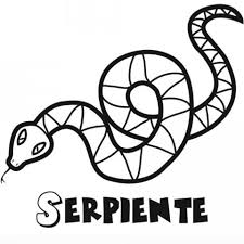 Dibujo Serpiente Para Colorear