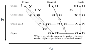 The charged groups in an ion pair are generally linked by hydrogen bonds, in addition to electrostatic interactions. 2 Vowel Diagram Of The International Phonetic Alphabet The Ellips Download Scientific Diagram
