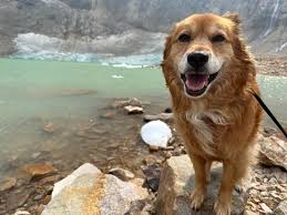 Hiking in the Rockies can be unpredictable