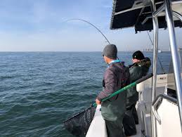 Find out where the fish are biting, the best places to go and what baits and lures to use to catch big fish today. Saltwater Anglers From Maine To Mississippi Help Improve Communications About Recreational Fishing