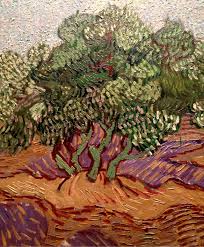 Vincent Van Gogh Olive Trees Detail 1889 Van Gogh Olive Trees Van Gogh Art Artist Van Gogh