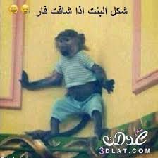 بوستات فيس بوك مضحكة (1) بوستات فيس بوك مضحكة (2) بوستات فيس بوك مضحكة (3) بوستات فيس بوك مضحكة (4) بوستات فيس بوك مضحكة (5) بوستات فيس بوك مضحكة (6) بوستات فيس بوك مضحكة (7) بوستات فيس بوك مضحكة (8) بوستات فيس بوك مضحكة (9) بوستات فيس بوك مضحكة (10) بوستات فيس بوك مضحكة (11. ØµÙˆØ± Ø¨ÙˆØ³ØªØ§Øª Ù…Ø¶Ø­ÙƒÙ‡ ØµÙˆØ± Ø¨ÙˆØ³ØªØ§Øª Ù…Ø¶Ø­ÙƒØ© Ø¹Ù„Ù‰ Ø®Ø³Ø§Ø±Ø© Ø§Ù„Ø§Ù‡Ù„ÙŠ 2014 ØµÙˆØ± ØªØ¹Ù„ÙŠÙ‚Ø§Øª