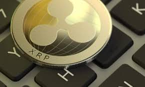 Is it worth investing in xrp crypto. Zs6robwonl3frm
