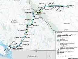 The canadian energy pipeline association (cepa), whose 2019 members included alliance pipeline (natural gas), atco pipelines (natural gas), enbridge, inter pipeline, pembina pipeline (oil and natural gas), plains all american pipeline known also as plains midstream canada, tc energy (oil. Of Pipe Dreams And Fossil Fools Advancing Canadian Fossil Fuel Hegemony Through The Trans Mountain Pipeline Sciencedirect