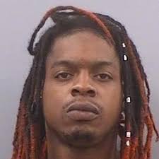 Sumner County high school student killed while a bystander during domestic  dispute