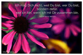 Ich Mag Dich Nicht Weil Du Bist Wer Du Bist Sondern Dafür