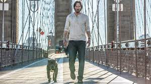 Videos you watch may be added to the tv's watch history and influence tv recommendations. Amazon De John Wick Kapitel 2 Dt Ov Ansehen Prime Video