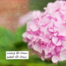 سبحان الله وبحمده سبحان الله العظيم Islamic Images Flowers Plants