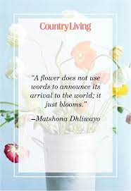 We did not find results for: 48 Inspirational Flower Quotes Cute Flower Sayings About Life And Love