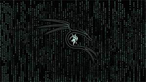 Kali Linux Wallpaper 4k